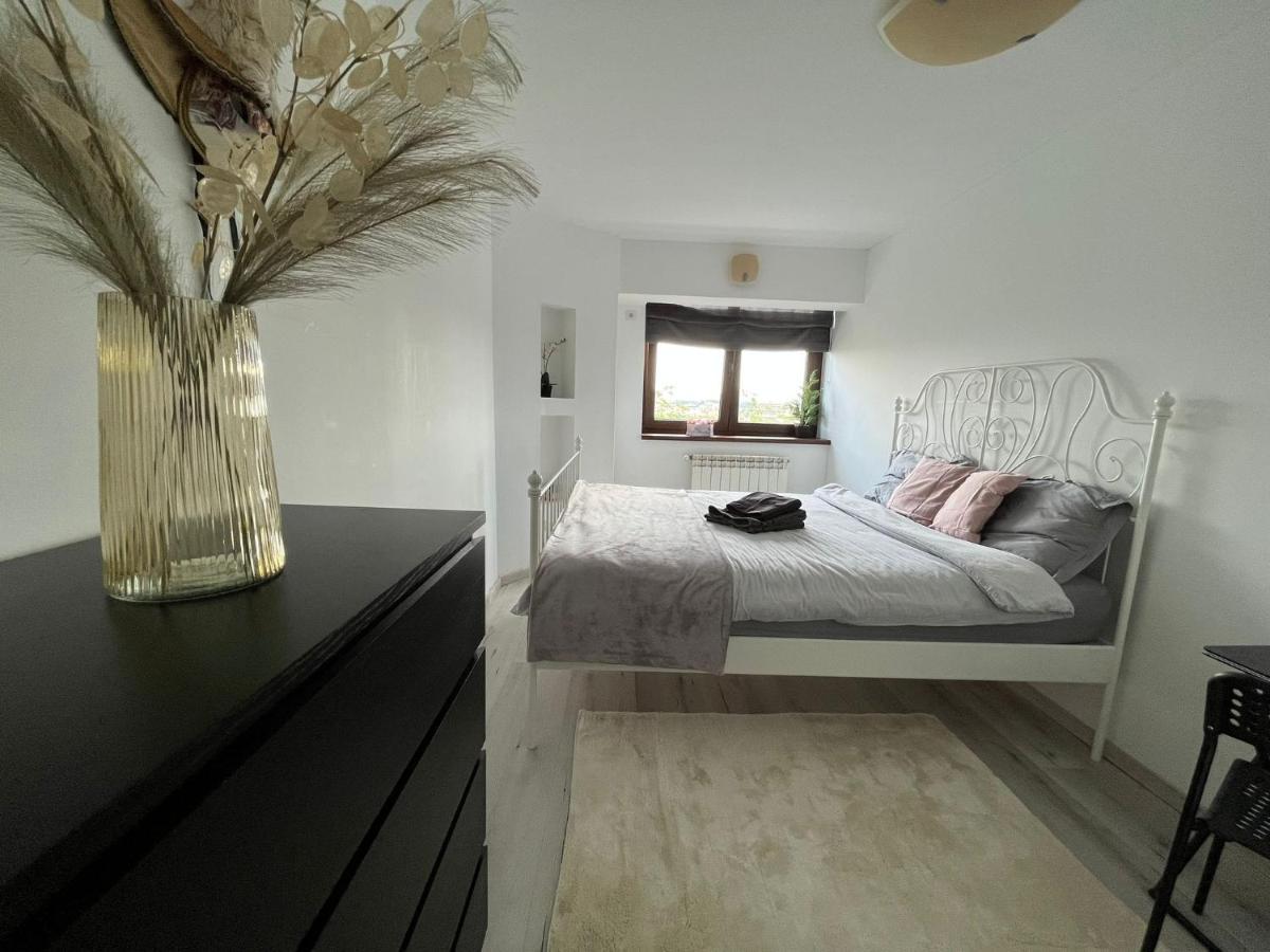 City Center Privat-Sauna Familyconcept Iasi Exterior foto